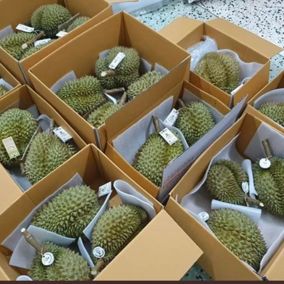 FRESH DURIAN HIGH QUALITY