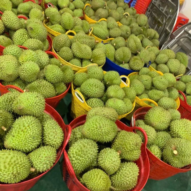 Premium Durian Made From Natural Ripe Fruit