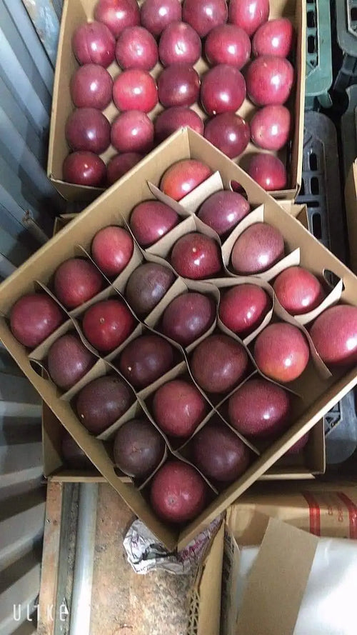 Best Selling Fresh Passion Fruits