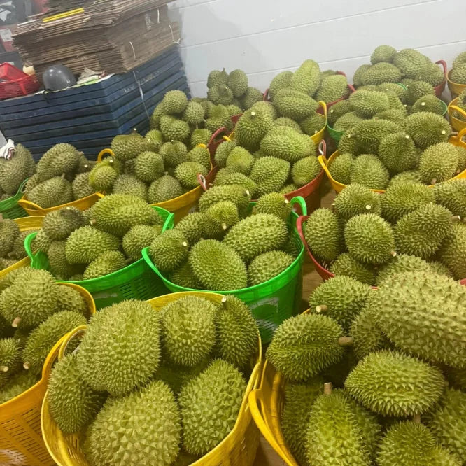 Premium Durian Made From Natural Ripe Fruit