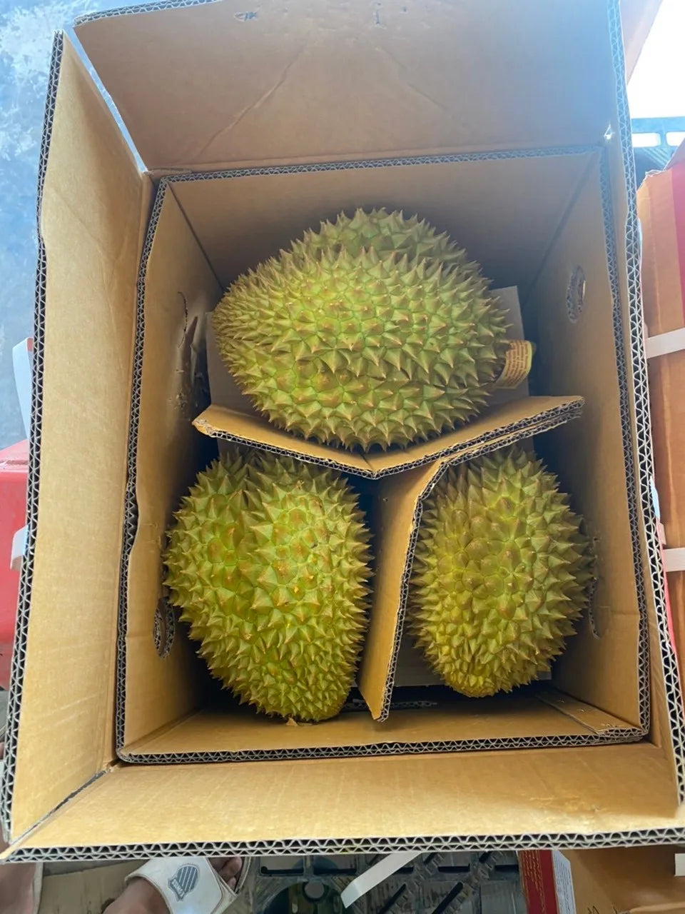 FRESH DURIAN HIGH QUALITY