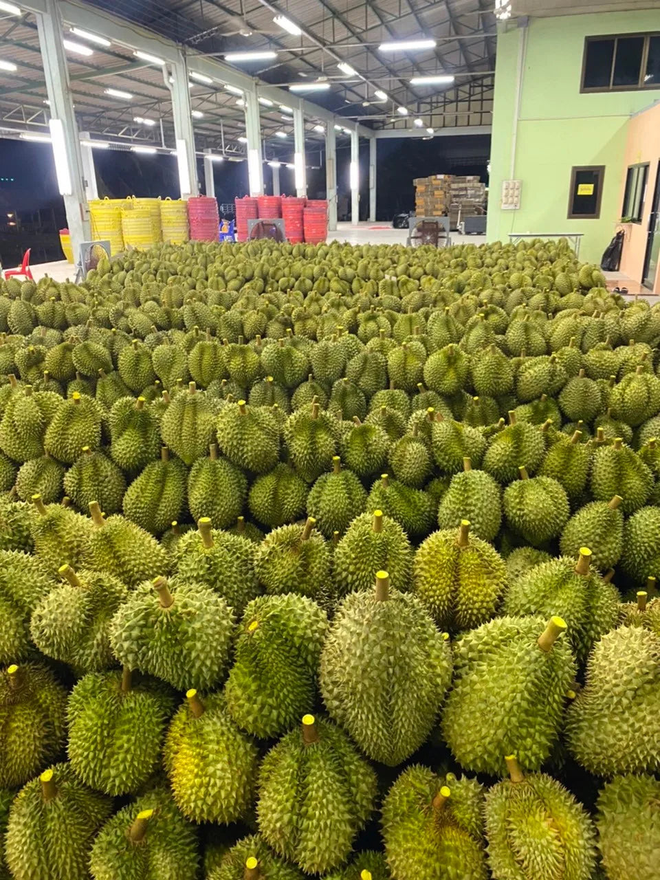 FRESH DURIAN HIGH QUALITY