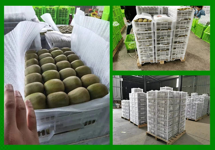 Delicious  Fresh Yellow Heart Kiwifruit Organic Kiwi Fruit Sweet and Juicy Kiwi Fruits