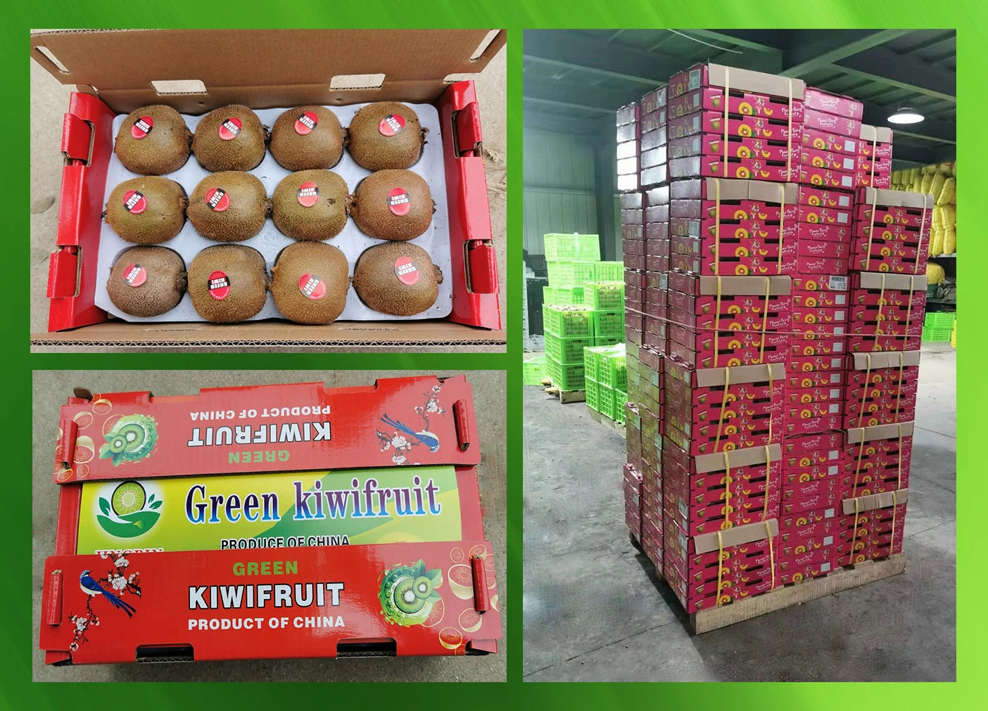 Delicious  Fresh Yellow Heart Kiwifruit Organic Kiwi Fruit Sweet and Juicy Kiwi Fruits