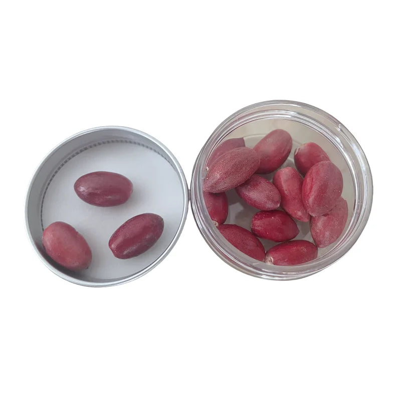 Freeze Dried Miracle Fruit